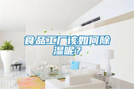 食品工廠該如何除濕呢？