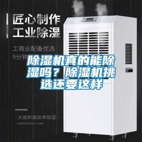 除濕機真的能除濕嗎？除濕機挑選還要這樣