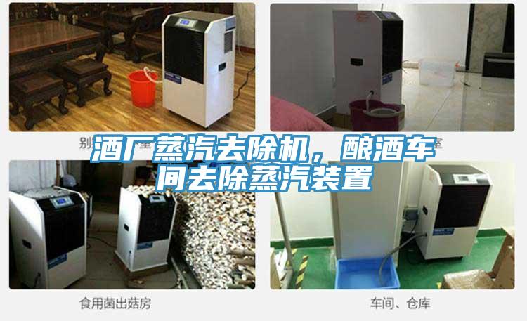 酒廠蒸汽去除機(jī)，釀酒車間去除蒸汽裝置