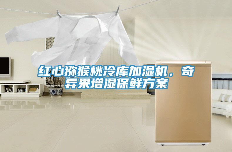 紅心獼猴桃冷庫加濕機(jī)，奇異果增濕保鮮方案