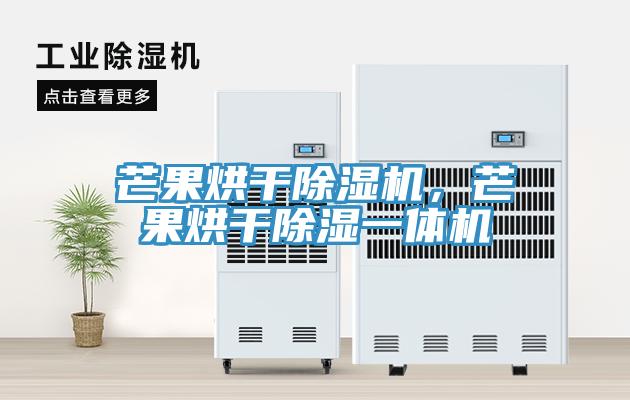 芒果烘干除濕機(jī)，芒果烘干除濕一體機(jī)
