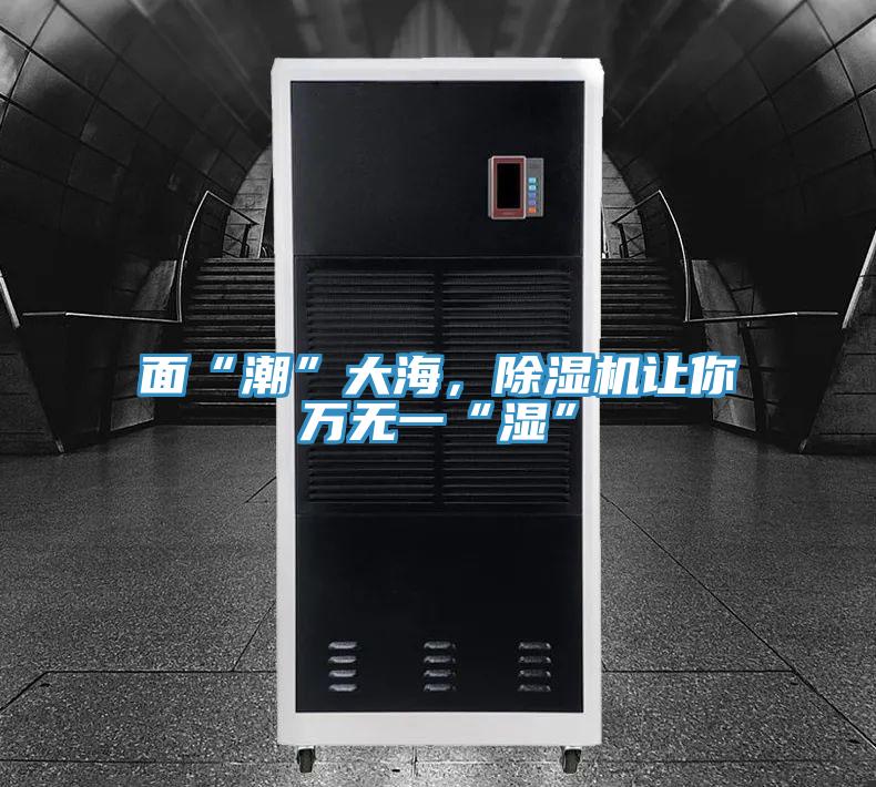 面“潮”大海，除濕機讓你萬無一“濕”