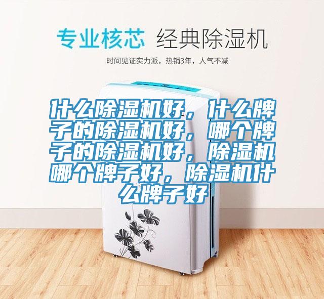 什么除濕機(jī)好，什么牌子的除濕機(jī)好，哪個(gè)牌子的除濕機(jī)好，除濕機(jī)哪個(gè)牌子好，除濕機(jī)什么牌子好