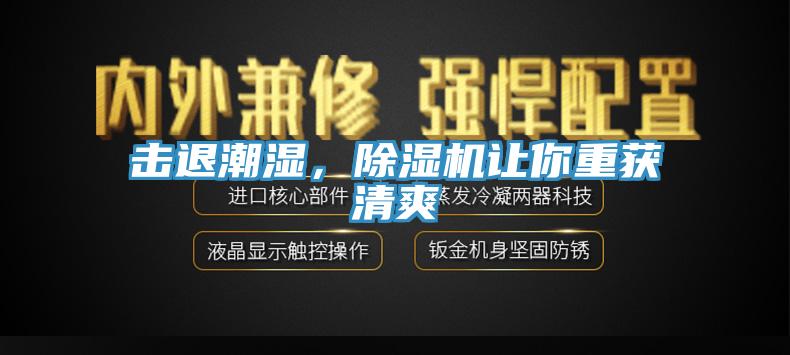 擊退潮濕，除濕機(jī)讓你重獲清爽