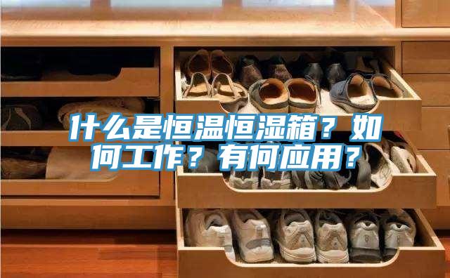 什么是恒溫恒濕箱？如何工作？有何應用？