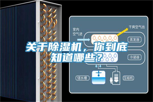 關(guān)于除濕機(jī)，你到底知道哪些？