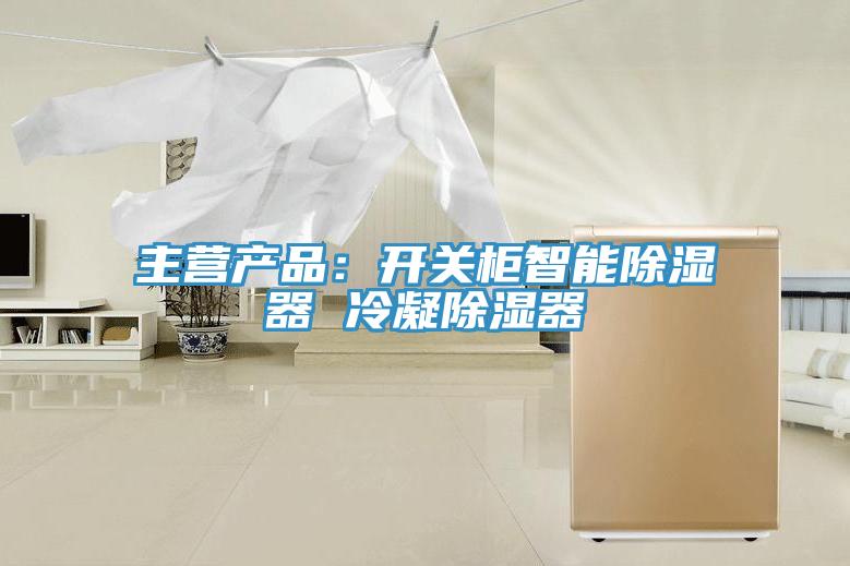 主營(yíng)產(chǎn)品：開(kāi)關(guān)柜智能除濕器 冷凝除濕器