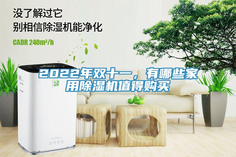 2022年雙十一，有哪些家用除濕機(jī)值得購(gòu)買(mǎi)