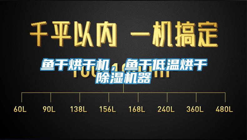 魚干烘干機(jī)，魚干低溫烘干除濕機(jī)器