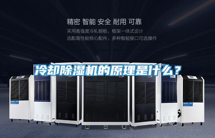 冷卻除濕機的原理是什么？