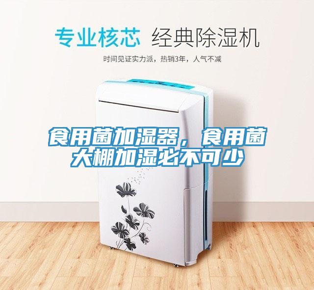 食用菌加濕器，食用菌大棚加濕必不可少
