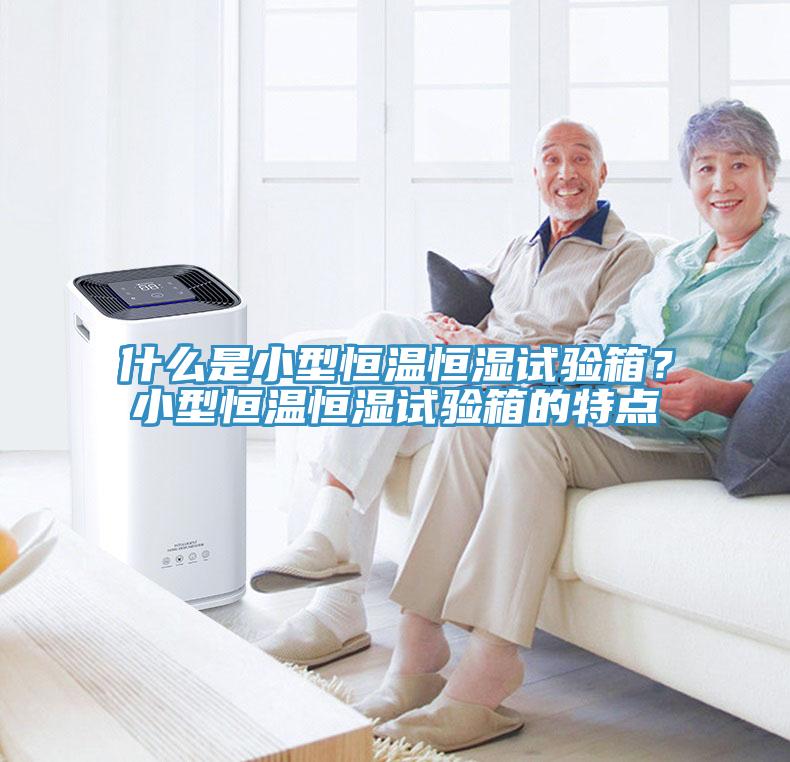 什么是小型恒溫恒濕試驗箱？小型恒溫恒濕試驗箱的特點
