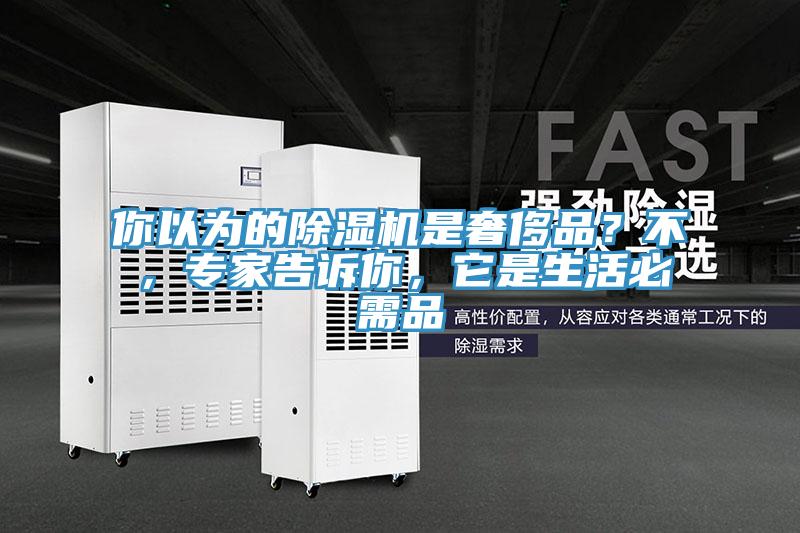 你以為的除濕機(jī)是奢侈品？不，專家告訴你，它是生活必需品