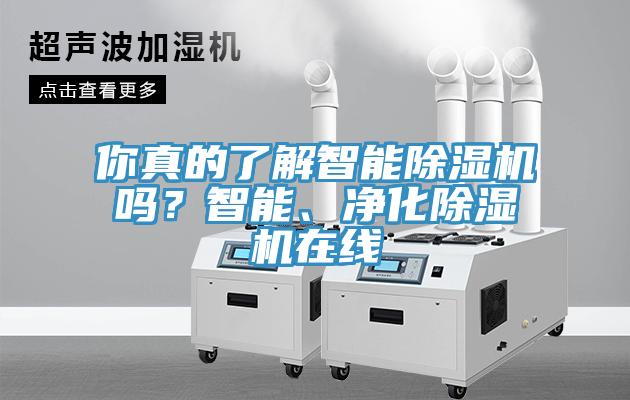 你真的了解智能除濕機(jī)嗎？智能、凈化除濕機(jī)在線