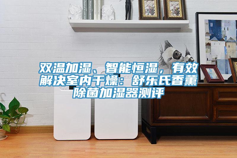雙溫加濕、智能恒濕，有效解決室內(nèi)干燥：舒樂氏香薰除菌加濕器測評