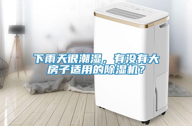 下雨天很潮濕，有沒有大房子適用的除濕機？