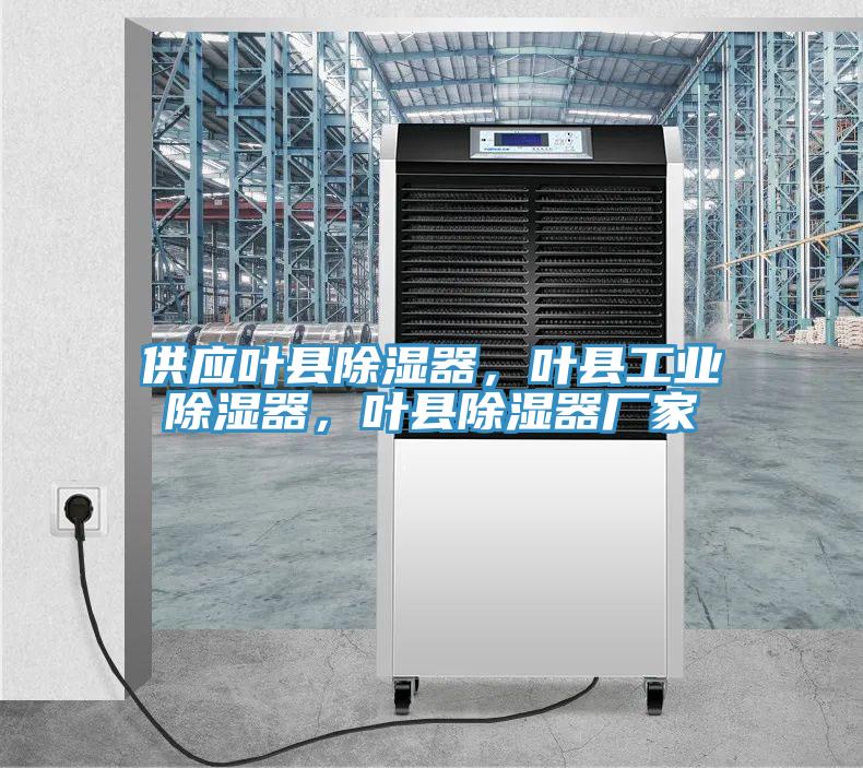 供應(yīng)葉縣除濕器，葉縣工業(yè)除濕器，葉縣除濕器廠家