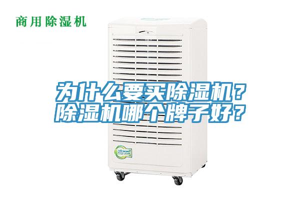 為什么要買除濕機？除濕機哪個牌子好？