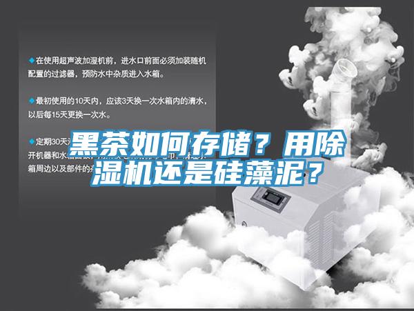 黑茶如何存儲(chǔ)？用除濕機(jī)還是硅藻泥？