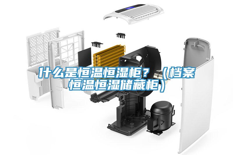 什么是恒溫恒濕柜？（檔案恒溫恒濕儲藏柜）