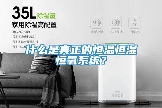 什么是真正的恒溫恒濕恒氧系統(tǒng)？