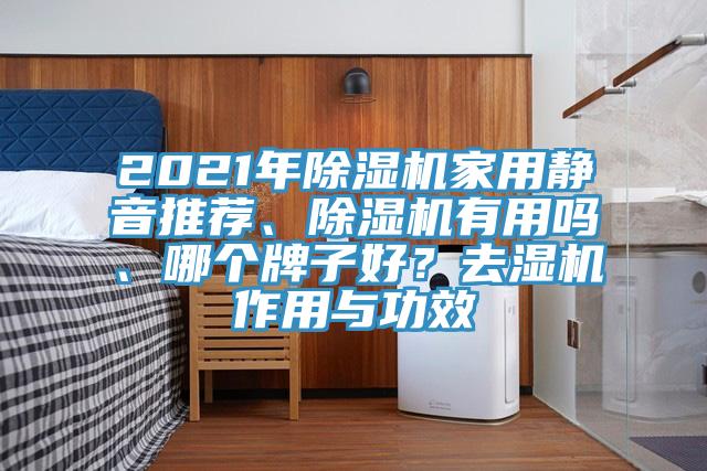 2021年除濕機家用靜音推薦、除濕機有用嗎、哪個牌子好？去濕機作用與功效