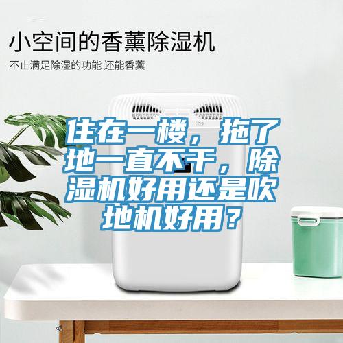 住在一樓，拖了地一直不干，除濕機好用還是吹地機好用？
