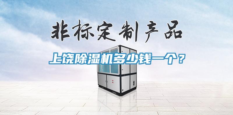 上饒除濕機多少錢一個？