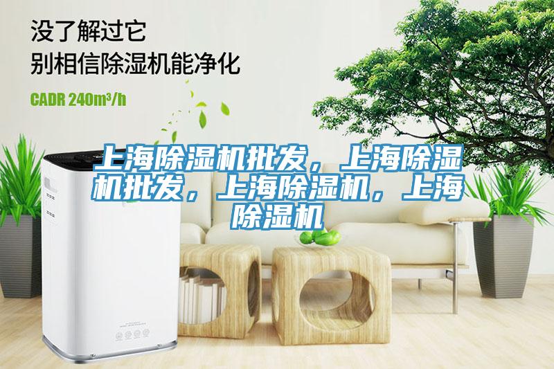 上海除濕機(jī)批發(fā)，上海除濕機(jī)批發(fā)，上海除濕機(jī)，上海除濕機(jī)