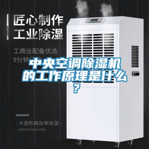 中央空調除濕機的工作原理是什么？