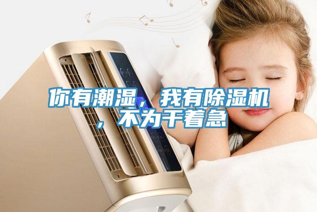 你有潮濕，我有除濕機(jī)，不為干著急
