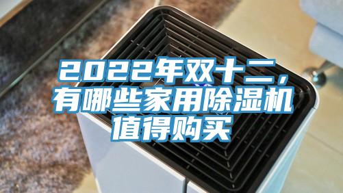 2022年雙十二，有哪些家用除濕機(jī)值得購(gòu)買(mǎi)