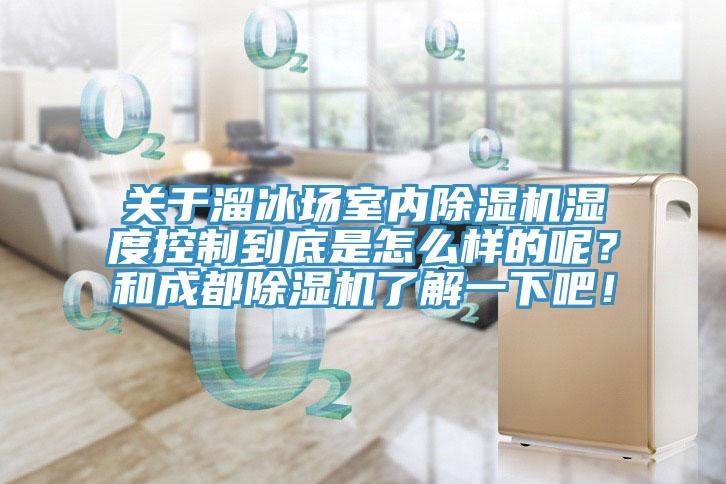 關(guān)于溜冰場(chǎng)室內(nèi)除濕機(jī)濕度控制到底是怎么樣的呢？和成都除濕機(jī)了解一下吧！