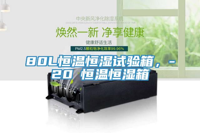 80L恒溫恒濕試驗箱，-20℃恒溫恒濕箱