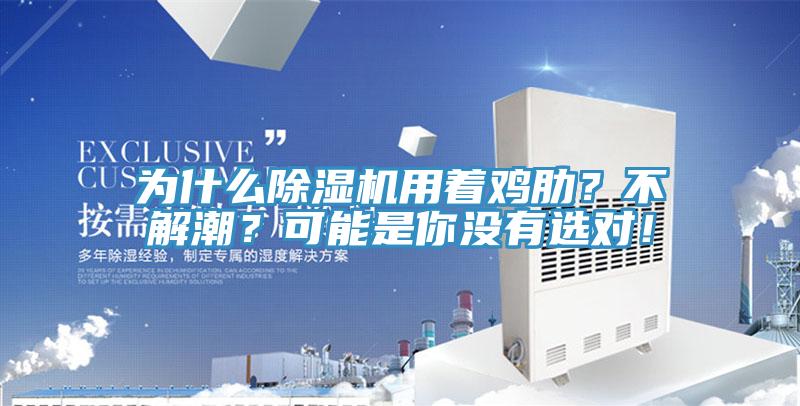 為什么除濕機用著雞肋？不解潮？可能是你沒有選對！