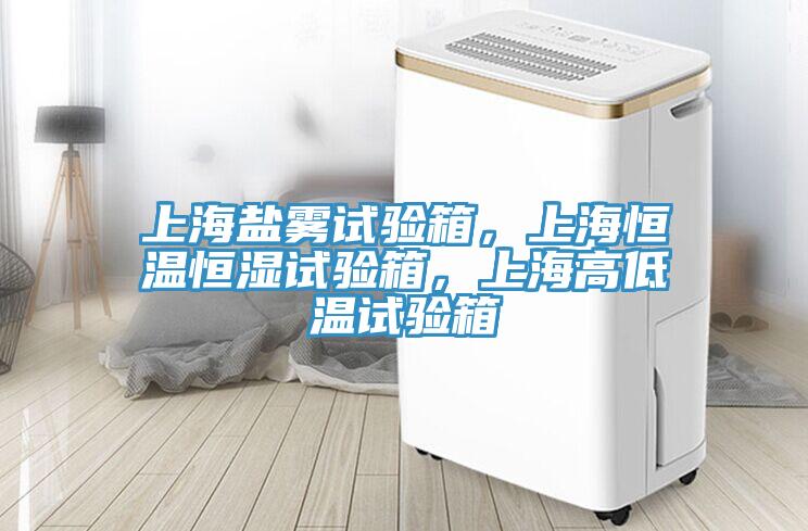 上海鹽霧試驗(yàn)箱，上海恒溫恒濕試驗(yàn)箱，上海高低溫試驗(yàn)箱