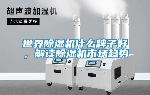 世界除濕機(jī)什么牌子好，解讀除濕機(jī)市場趨勢