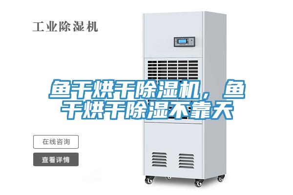 魚干烘干除濕機(jī)，魚干烘干除濕不靠天