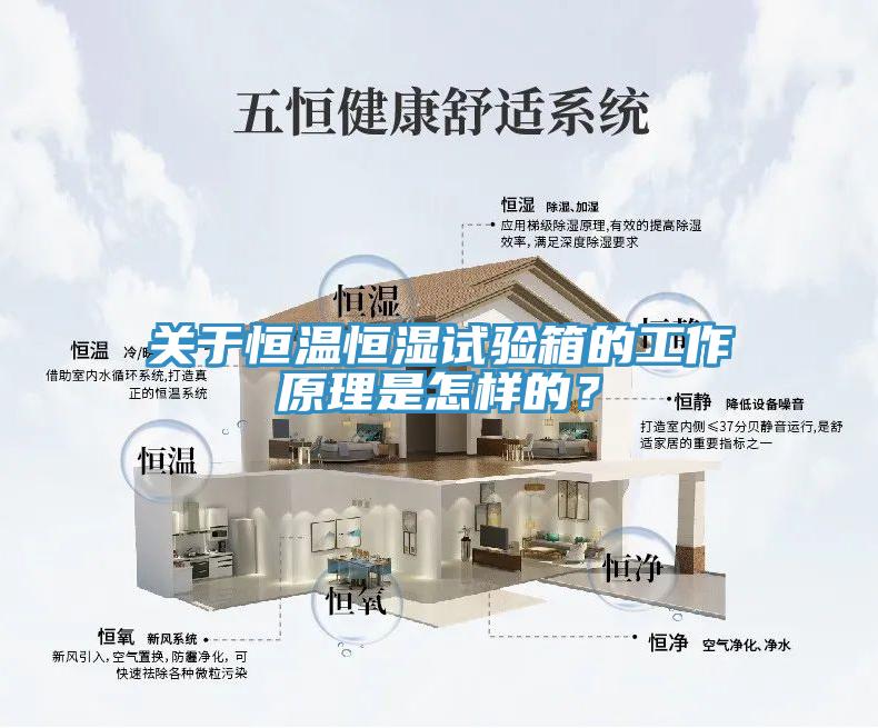 關(guān)于恒溫恒濕試驗箱的工作原理是怎樣的？