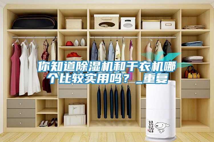你知道除濕機(jī)和干衣機(jī)哪個(gè)比較實(shí)用嗎？_重復(fù)