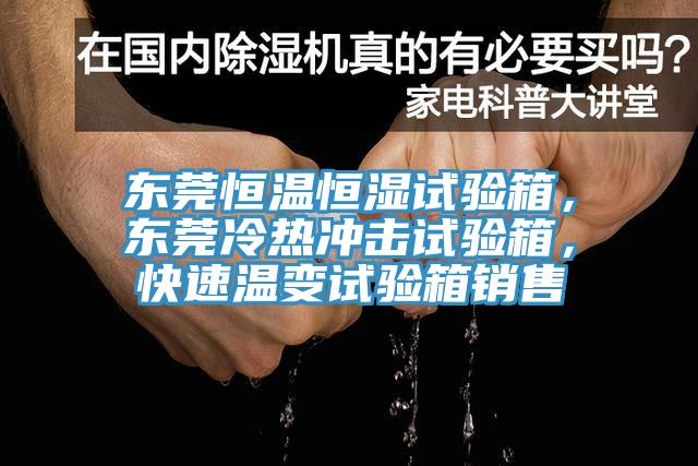 東莞恒溫恒濕試驗(yàn)箱，東莞冷熱沖擊試驗(yàn)箱，快速溫變?cè)囼?yàn)箱銷售