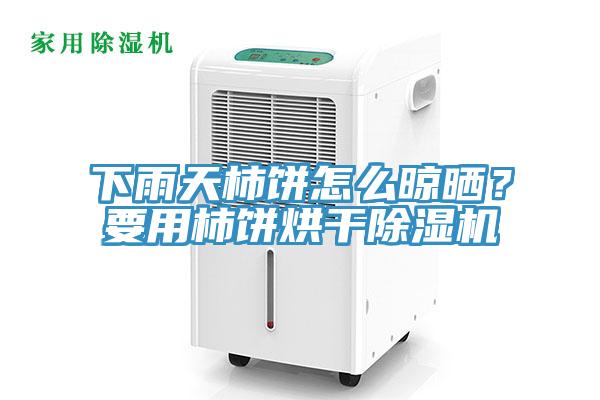 下雨天柿餅怎么晾曬？要用柿餅烘干除濕機