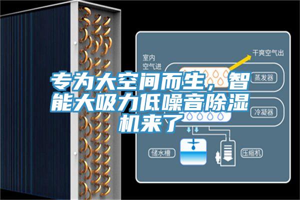 專為大空間而生，智能大吸力低噪音除濕機(jī)來了