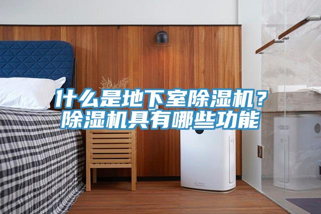 什么是地下室除濕機(jī)？除濕機(jī)具有哪些功能