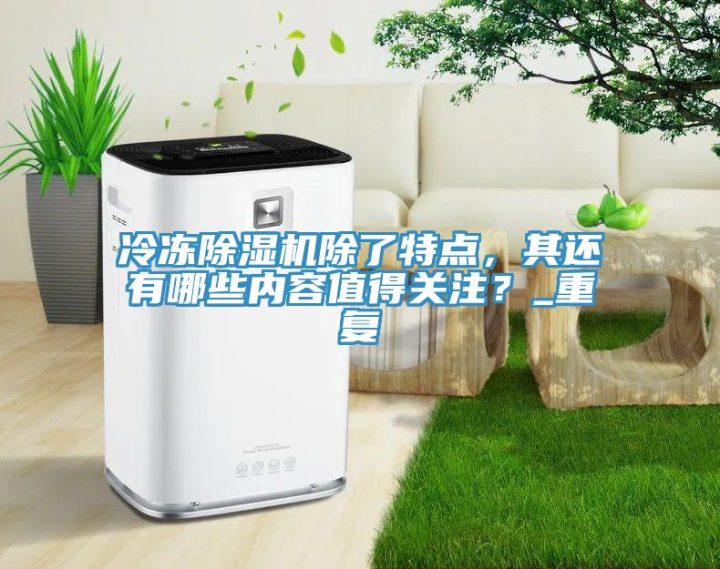 冷凍除濕機除了特點，其還有哪些內(nèi)容值得關注？_重復