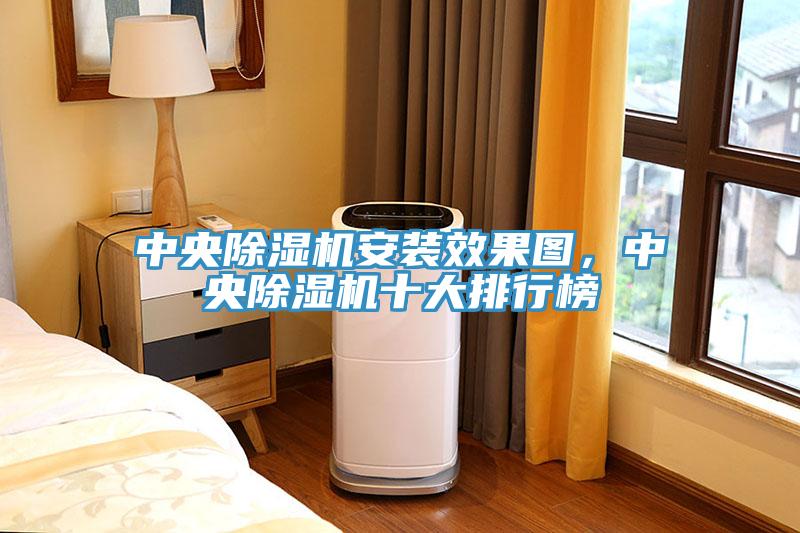 中央除濕機安裝效果圖，中央除濕機十大排行榜