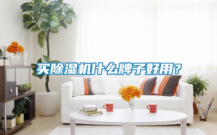 買除濕機(jī)什么牌子好用？