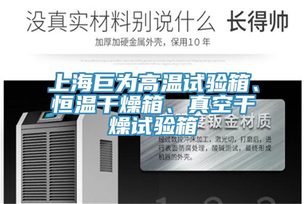 上海巨為高溫試驗(yàn)箱、恒溫干燥箱、真空干燥試驗(yàn)箱