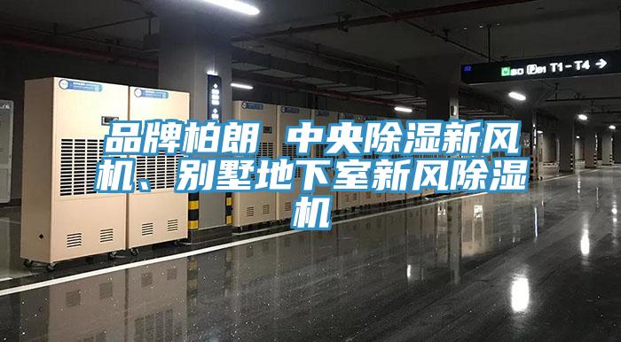 品牌柏朗 中央除濕新風(fēng)機(jī)、別墅地下室新風(fēng)除濕機(jī)
