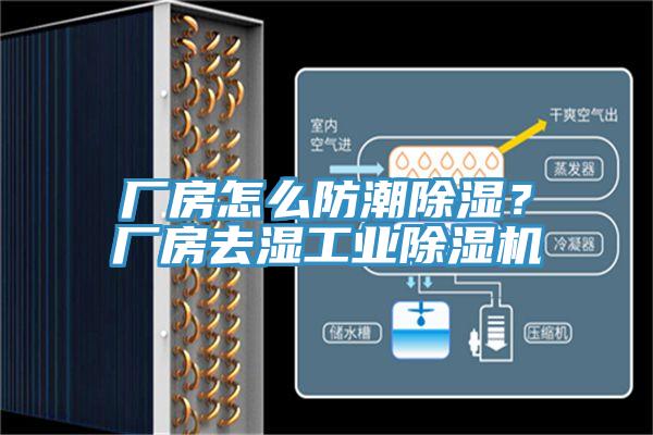 廠房怎么防潮除濕？廠房去濕工業(yè)除濕機
